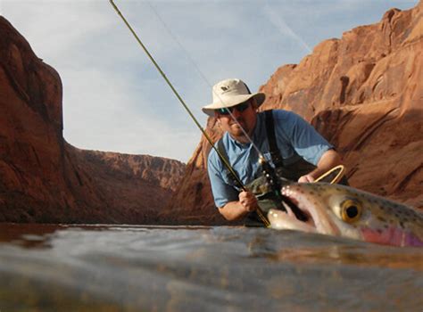 azgame&fish|az spel.